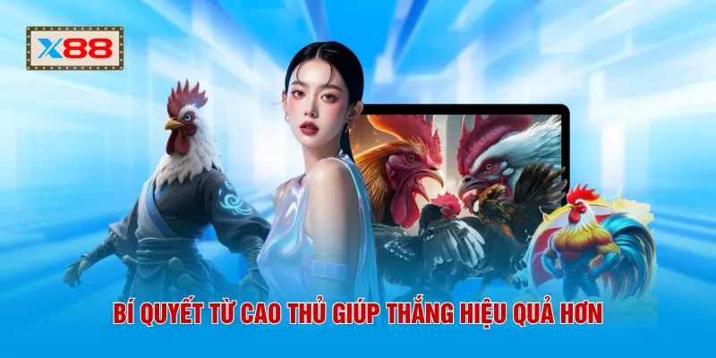 Bí quyết từ cao thủ giúp thắng hiệu quả hơn