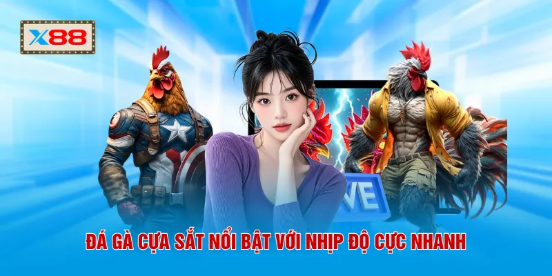 Đá gà cựa sắt nổi bật với nhịp độ cực nhanh